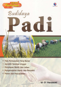 Budi daya padi