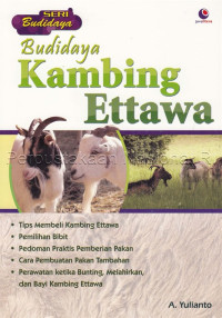 Budidaya Kambing Ettawa