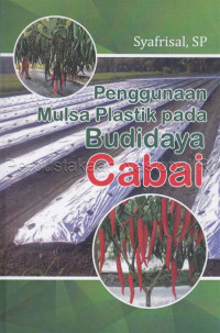 Penggunaan Mulsa Plastik pada Budidaya Cabai