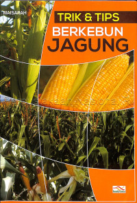 Trik dan Tips Berkebun Jagung