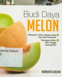 Budi Daya Melon