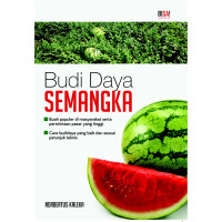 Budi Daya Semangka